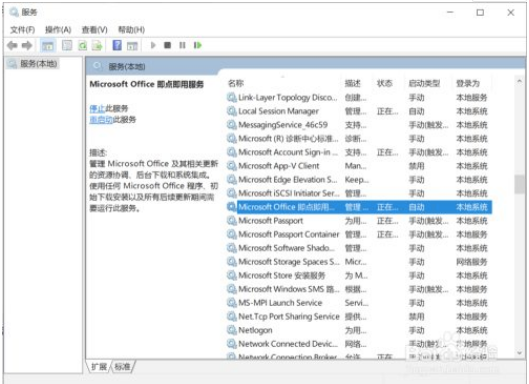 打开Office显示应用程序无法正常启动(0