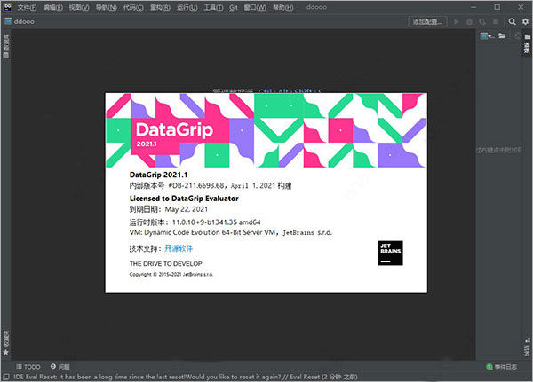 JetBrains DataGrip 2021