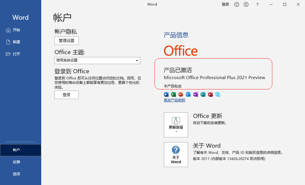 Microsoft Office 2021