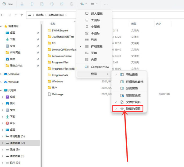 Win11如何查看隐藏项目？