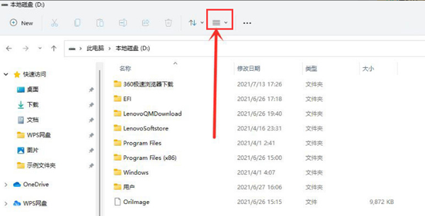 Win11如何查看隐藏项目？