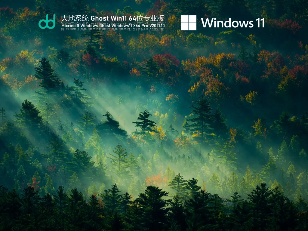 大地系统 Ghost Win11 64位免激活专业版 V2021.10
