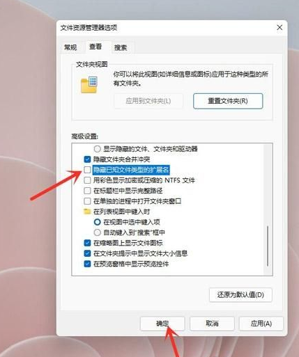 Win11显示文件后缀名操作方法