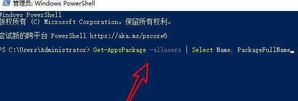 Win11应用商店打不开