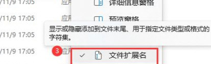 Win11如何展示文件扩展名？