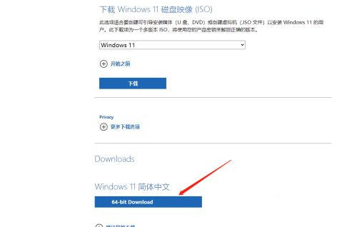 微软原版Windows 11镜像怎么下载