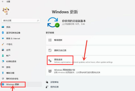 Win11如何开启传递优化功能？