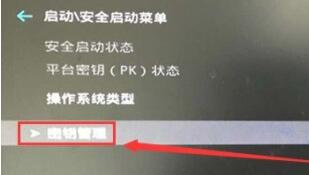 升级win11安全启动怎么开启？各类主板