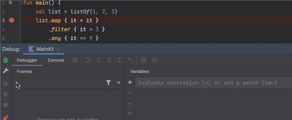 IntelliJ IDEA