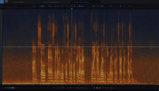 iZotope RX9