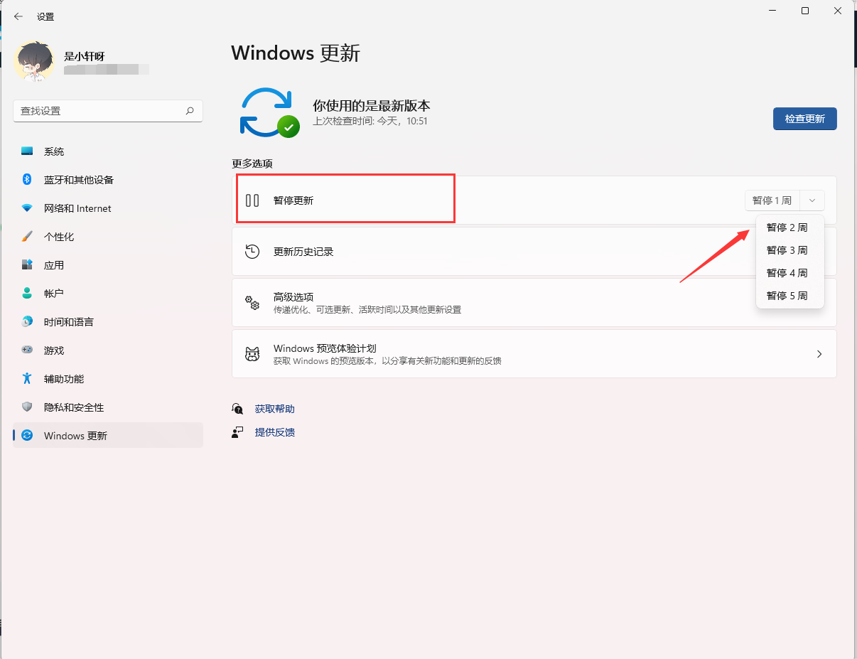 Win11怎么关闭系统更新