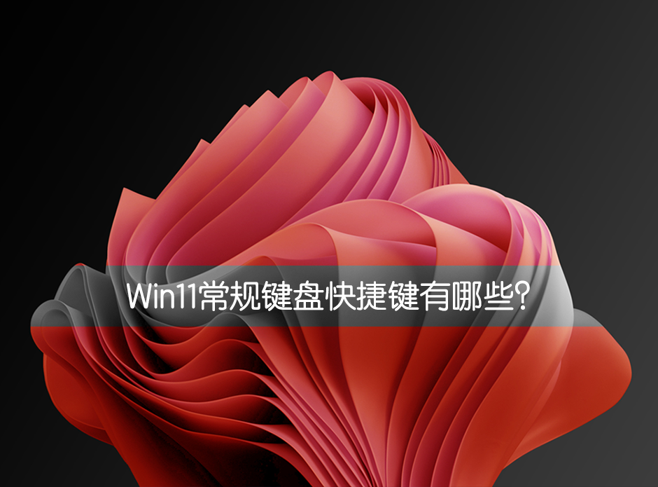 Win11常规键盘快捷键有哪些？