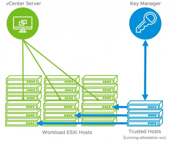 VMware Esxi