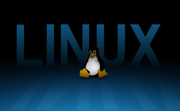 Linux Kernel