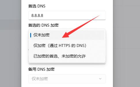 Win11加密dns详细教程