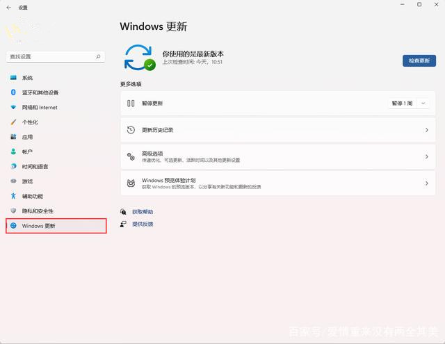 Win11会自动更新吗