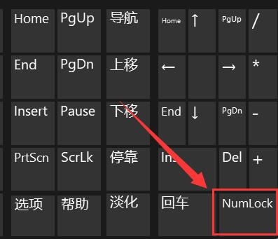 Win11电脑键盘打不了字怎么办？