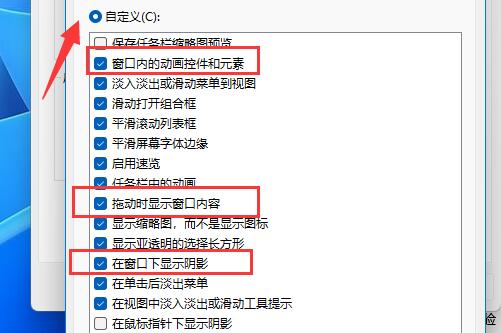 Win11如何设置窗口动画效果？