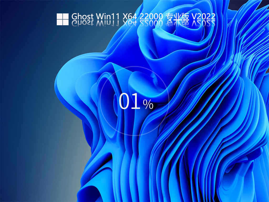 Ghost Win11 22000.493 专业版 V2022.02