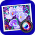 JixiPix Spektrel Art(图片锐化工具) V1.1.11 免费版