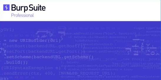 BurpSuite Professional