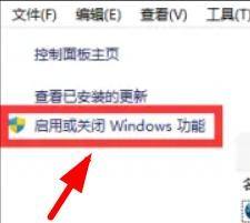 Win11怎么打开IIS管理器应用