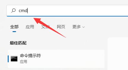 Win11提示0xc0000142错误代码怎么办？