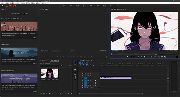 Adobe Premiere Pro