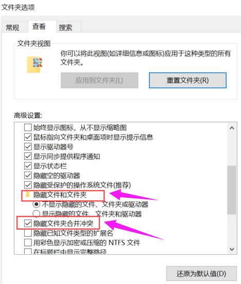 Win11文件夹选项在哪里打开？