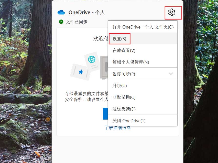 Win11自动锁定OneDrive个人保管库的方