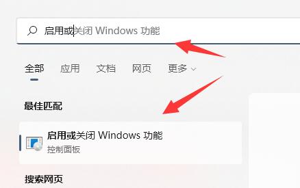 Win11安装wsa的方法