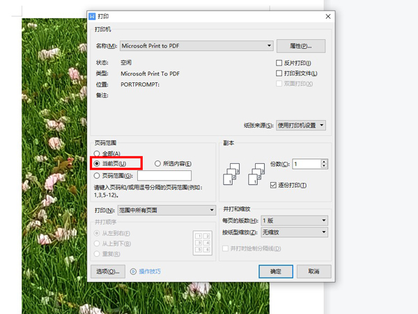 WPS怎么打印某一页