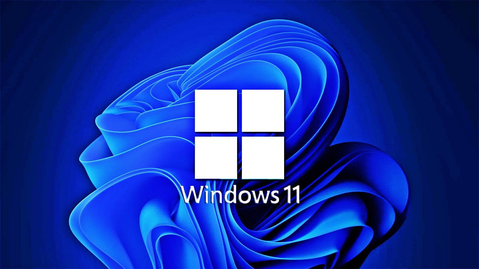 Win11用不了动态壁纸