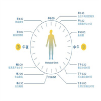 人体生物节律速查器软件2023 v2.5