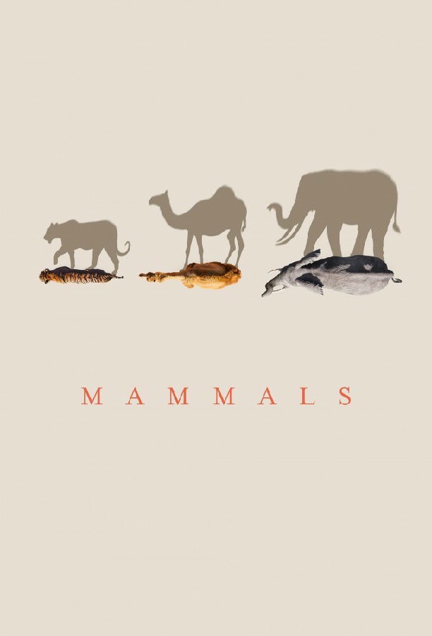 [BT下载][哺乳动物星球 Mammals 第一季][全06集][英语无字][MKV][2160P][WEB-RAW 剧集 2024 英国 纪录 打包