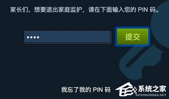 Steam家庭监护有什么用？