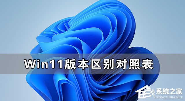 Windows11各版本有什么区别？Win11系统各个版本之间的比较