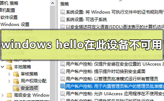 怎么解决Windows hello在此设备上不可