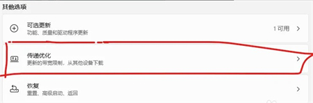 Win11关闭传递优化的方法