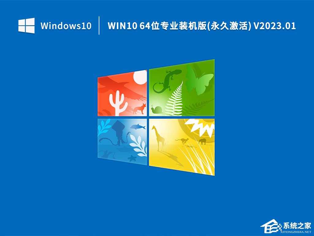 Win10纯净版和装机版哪个好？