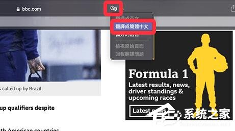 苹果电脑Safari浏览器怎么翻译网页