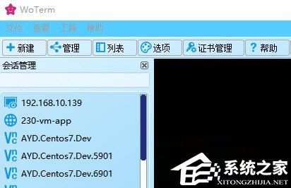 WoTerm(电脑远程管理工具) V9.26.1 最新版