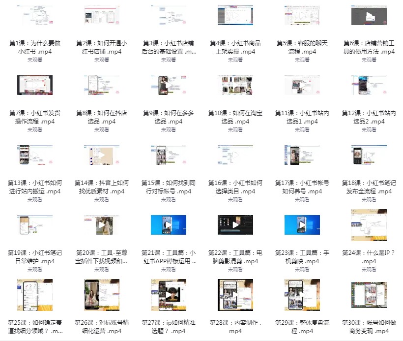 《小红书电商运营·从入门到精髓》价值两千多[mp4]
