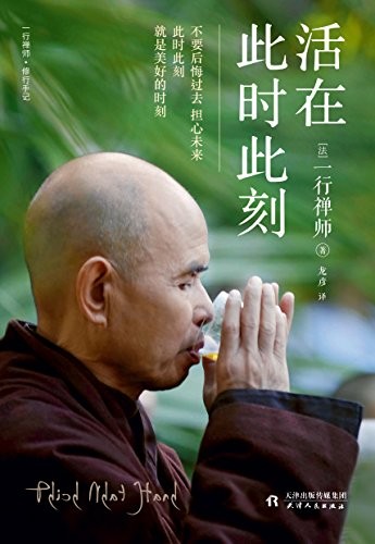 《活在此时此刻》一行禅师 修行手记[epub]