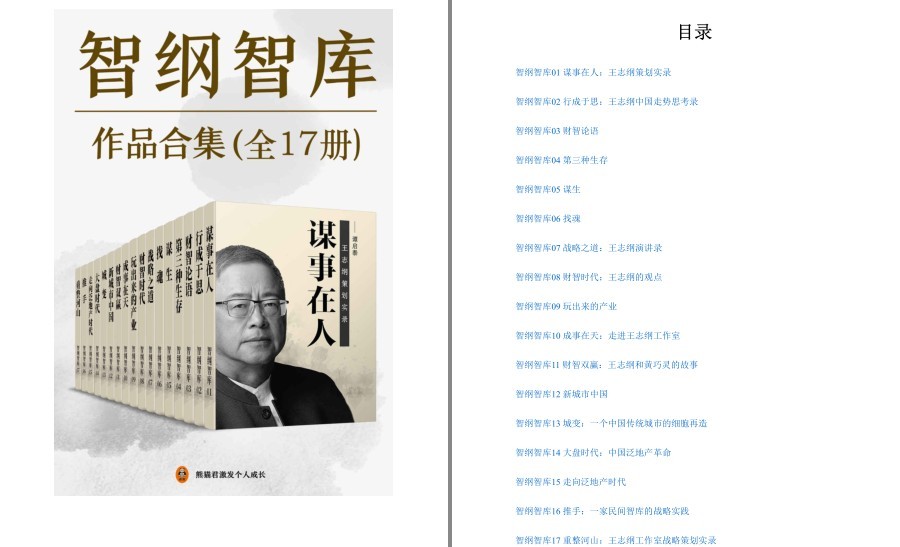 《智纲智库作品合集》17册 国内顶尖战略咨询机构 顶级策划人[pdf.epub]