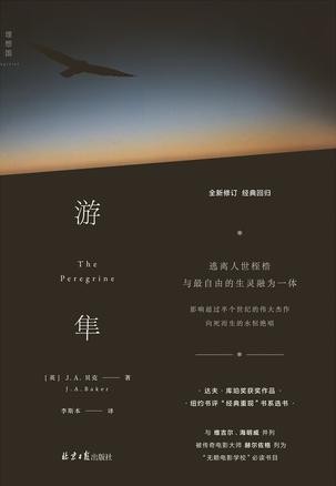 《游隼》关于一个人，渴望成为人以外的存在[Pdf-Epub-Mobi-Txt-Azw3]