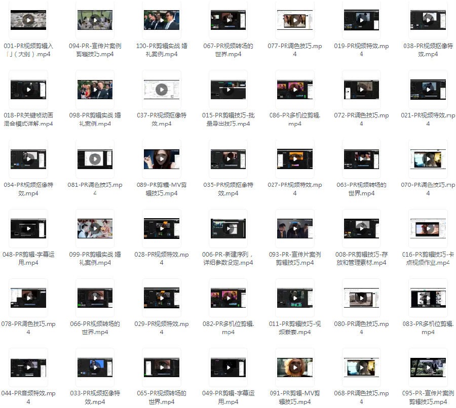 《PR从零基础入门到视频剪辑大神教程100集全》轻松学会PR[mp4]