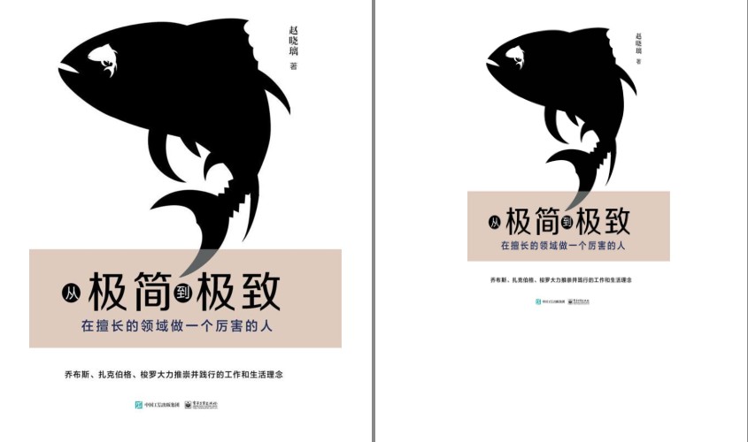 《从极简到极致》在擅长的领域做一个厉害的人[epub]