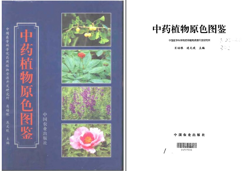 《中药植物原色图鉴》中医爱好者必备[pdf]