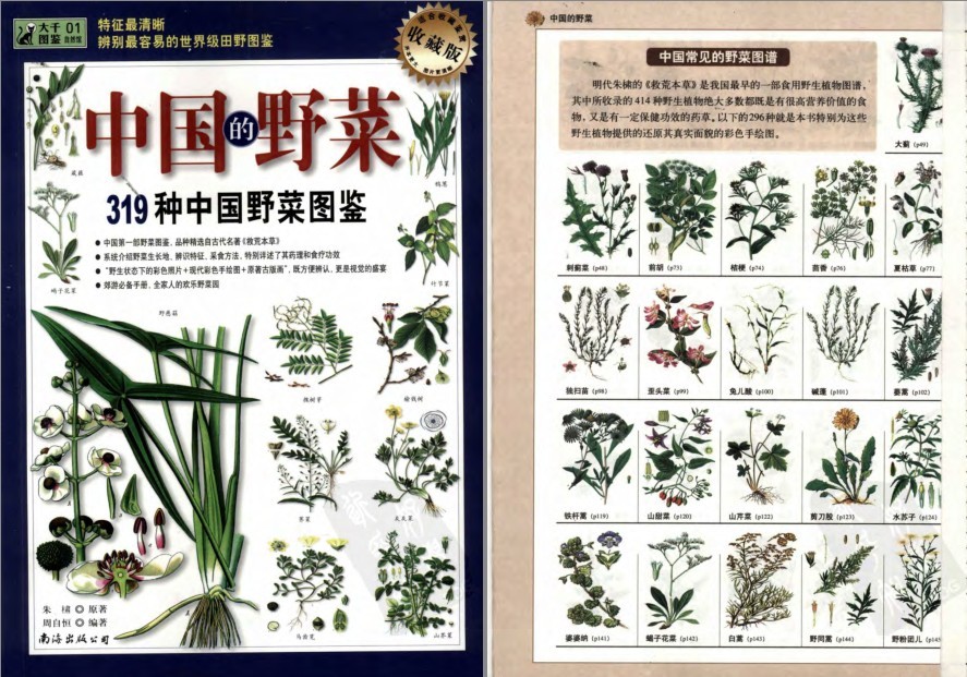 《中国的野菜：319种中国野菜图鉴》中国常见野菜图谱[pdf]